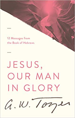 Jesus, Our Man in Glory